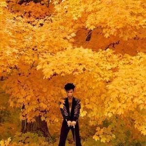 Meet your Posher, Bern